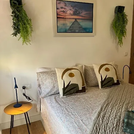 Dream Discovery * סנטה קרוז דה טנריף