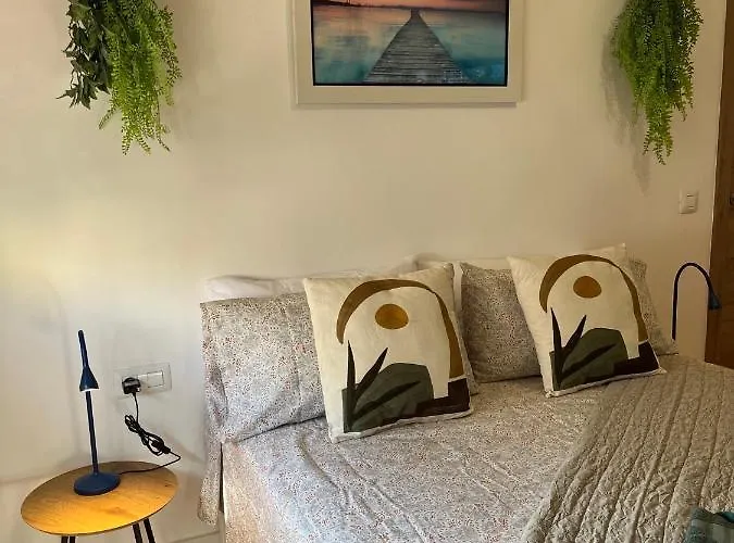 Dream Discovery * Santa-Cruz de Ténérife